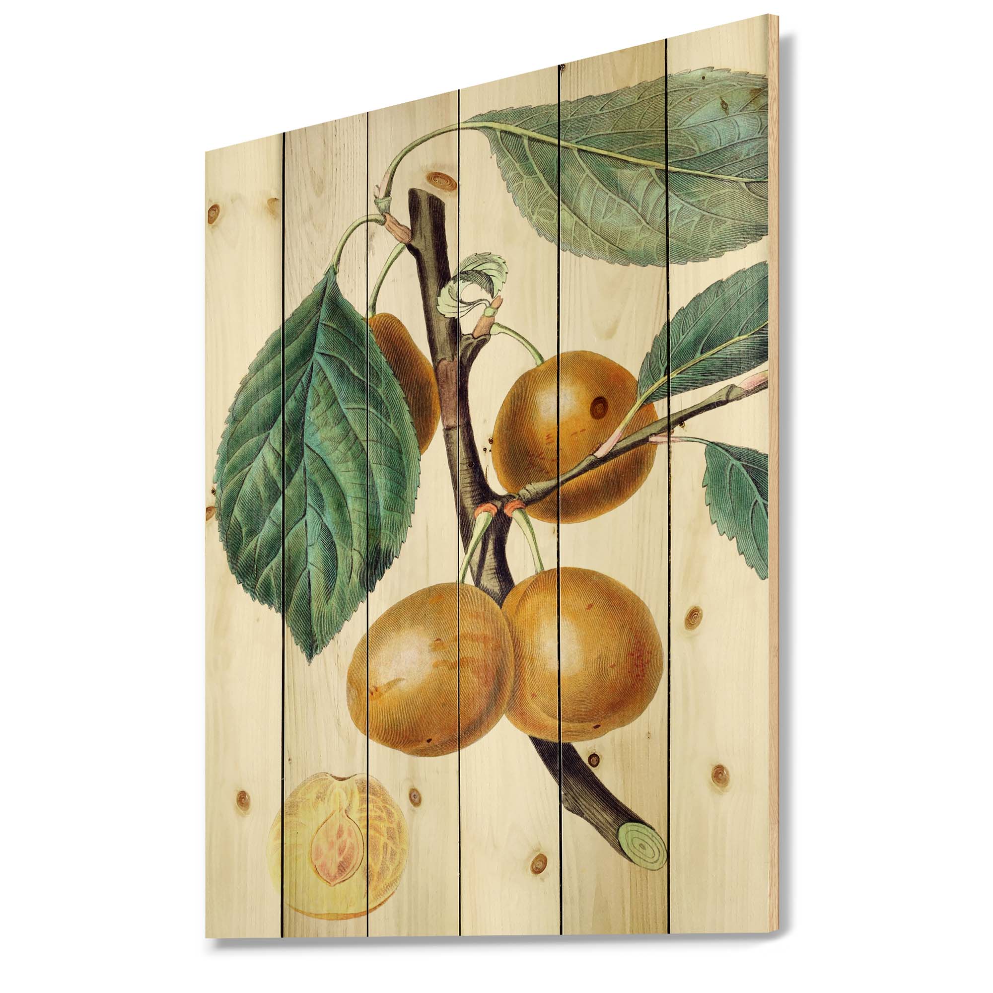Designart 'Ancient Fruits II' Farmhouse Print on Natural Pine Wood