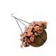thumbnail image 1 of Yuarrent Maceta ecológica: fácil de limpiar y mantener Cesta de maceta colgante de larga duración Decoración tipo 7 20*9.5 cm, 1 of 6