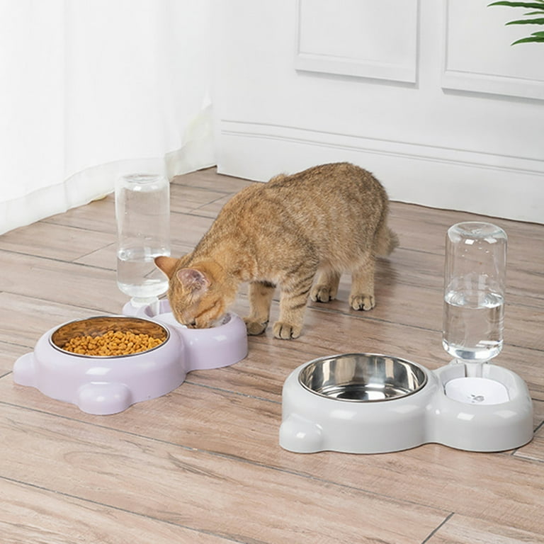 Dual dog cheap food container