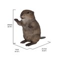 thumbnail image 4 of AMERICAN BEAVER STATUE Debout de Petit Enfant, 4 of 4