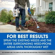 Roundup Dual Action Weed & Grass Killer Plus 4 Month Preventer Refill