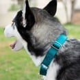 thumbnail image 3 of Country Brook Petz - Martingale Dog Collar - Heavy-Duty Training Collar with No Buckle - Service Dog Collar for All Pups - 10+ Cool Colors (Teal, 1 Inch, Medium), 3 of 8