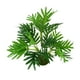 thumbnail image 2 of Planta artificial de 3 ramas, Asplenium septentrionale verde, decoración floral de hojas, 2 of 8