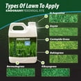 thumbnail image 2 of Endurant Perennial Rye Light green grass lawn colorant, 2 of 4