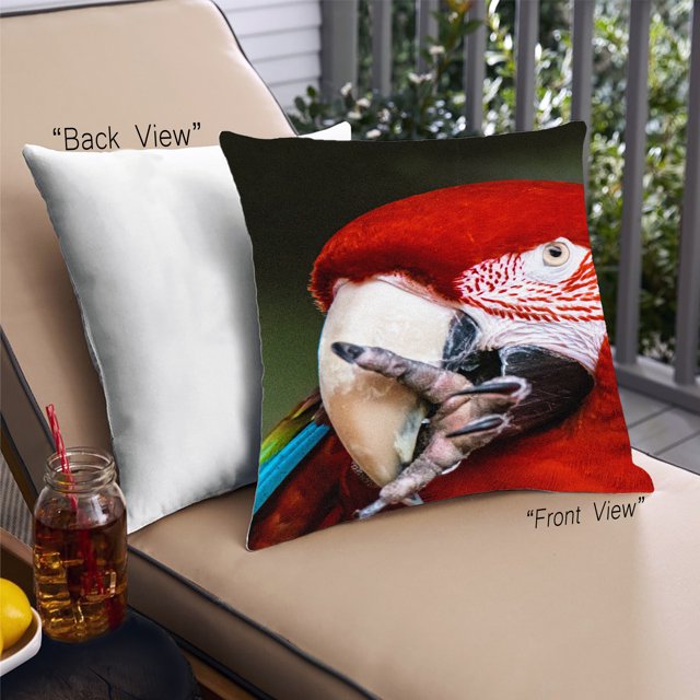 Ahgly Company Animals Parrot Coussin Extérieur, 18 Pouces par 18 Pouces