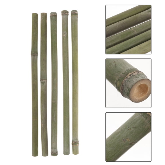SEWACC Bamboo Stakes Assorted Color For Potted Plants Decoration 5Pcs 40x1.8cm