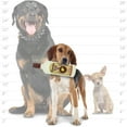 thumbnail image 2 of Silly Squeaker Liquor Bottle Tweetos Durable Squeaky Vinyl 2-Pack Dog Toy, 2 of 9