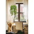 thumbnail image 6 of Artificial Hanging Plants 14 inch Fake Greenery Succulent Potted Plant Ceramic Planter for Home Wall Indoor Outdoor Decor, 6 of 6