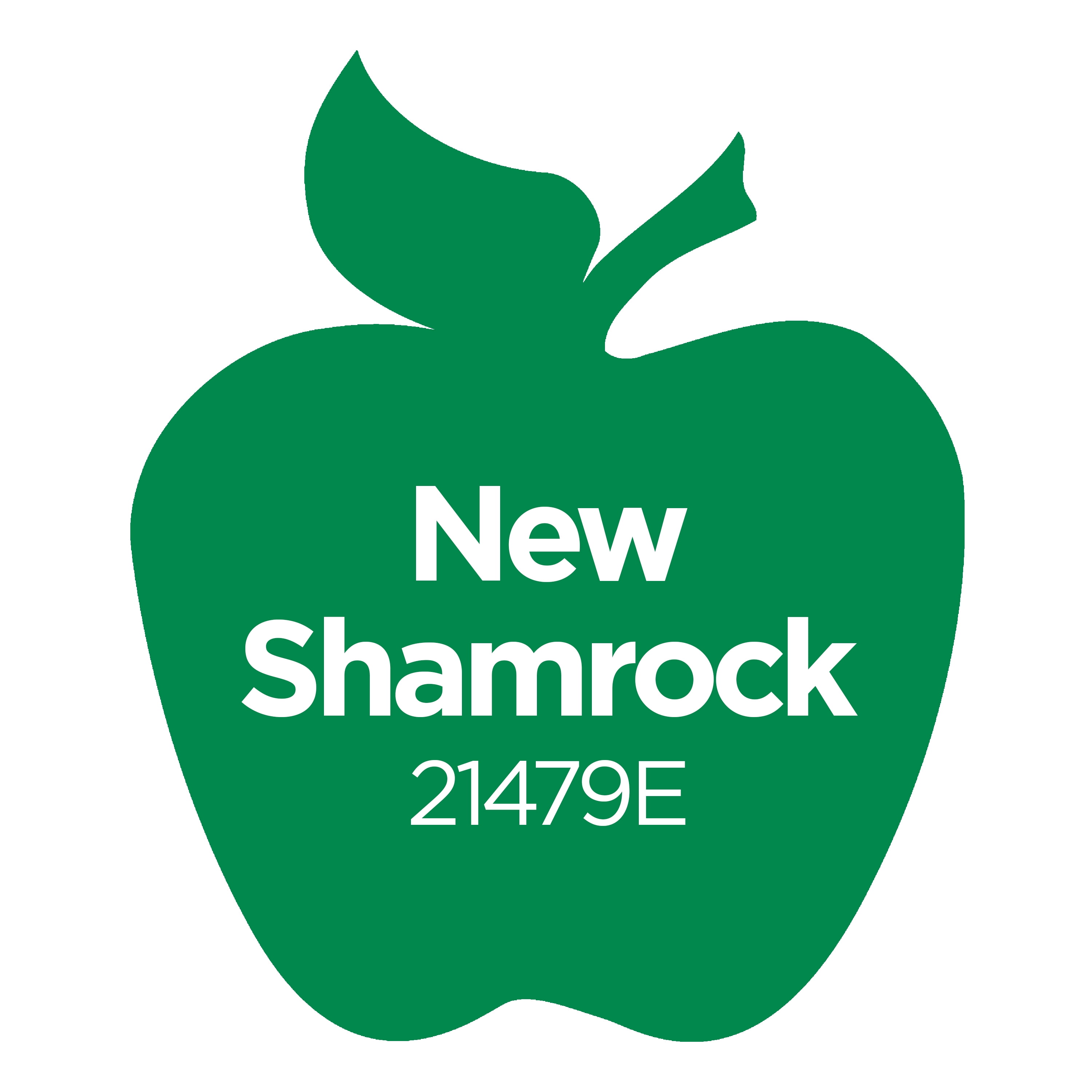 (2 pack) Apple Barrel Acrylic Craft Paint, Matte Finish, New Shamrock, 2 fl oz