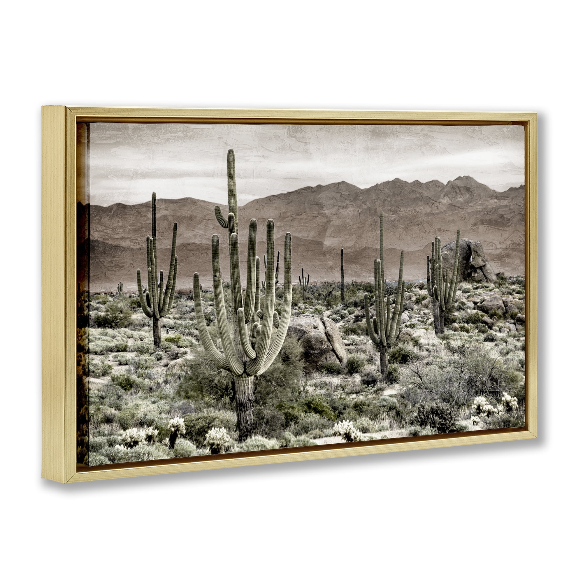 Stupell Industries Desert Land Cacti Wilderness Gold Framed Floater Canvas Wall Art, design by Kim Allen