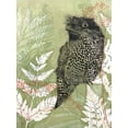thumbnail image 2 of Rice, Trudy 15x18 White Modern Wood Framed Museum Art Print Titled - Tawny Frog Mouth, 2 of 4