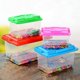 thumbnail image 4 of Portable Plastic Fish & Turtle Carrier, 4 of 5