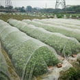 thumbnail image 3 of Insect Protection Net Garden Plant Insect Vegetables Fruit Flower Protection Greenhouse Cover Control Pest Anti-Bird, 3 of 10