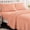 Coral, variant on Microfiber Polar Fleece Sheet Set, Ultra Soft Warm Plush Velvet Bed Sheets, 15 Inch Deep Pocket 4‑Piece Bedding Set for Winter