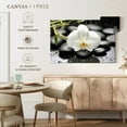 thumbnail image 5 of Elephant Stock White Orchid Wall Art - Horizontal Canvas Wall Art - Living Room Wall Decor - Floral And Botanical Canvas - Black And White Decor - 12" x 8", 5 of 8