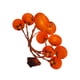 thumbnail image 4 of Decoración ligera de Año Nuevo chino con luz de caqui, ambiente creativo y ligero 15 m 10 ledes, 4 of 7