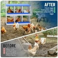 thumbnail image 5 of Litake Chicken Nesting Box, 6 Compartment Galvanized Steel Chicken Laying Boxes, Nesting Boxes for Chickens, Easy Egg Collection for Chicken Coop, Backyard, Farms, Blue, 5 of 7