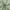 Sage Green, variant on MKHILL 42x18 Ivory Jacquard Clip Sheer Valance Curtains 2 Panels, Rod Pocket Semi Sheer Window Topper for Kitchen RV Small Windows, Each 42"Wx18"L