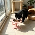 thumbnail image 2 of Pet Feeding Bowl Adjustable Height Angled Design Non Slip Base for Cats and Small Dogs, 2 of 6