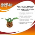thumbnail image 7 of Harry Potter Mandrake Face 6-Inch Ceramic Planter with Artificial Succulent, 7 of 7