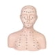 thumbnail image 4 of Cabeza de maniquí con de acupresión, compacta, y realista, modelo de cabeza de entrenamiento profesional para facial de spa., 4 of 9