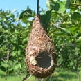 thumbnail image 3 of de Paja Tejida Hecha , Jaula para de Pájaro, Pajarera para , , Golondrina, Mascotas Pequeñas Sharpla Nido de pájaro de paja tejido a mano, 3 of 8
