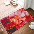 thumbnail image 4 of Susaid Autumn Maple Leaves Print Doormat,Porch Decor,Housewarming Decor Gift Doormat,Funny Flannel Floor Mat,Funny Doormat 24x16 Inch, 4 of 7