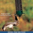 thumbnail image 3 of Djiypn Squirrel Proof Bird Feeder for Outdoors, 6lb Seed Capacity | Weight-Activated Rotating Perch,Stabilized Seed Tube, Hanging Bird Feeder for Finch Cardinal Chickadee, 3 of 7
