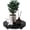 Black, variant on Round Decorative Tray Farmhouse Bathroom Decor Wood Riser Kitchen Countertop Organizer for Perfume, Candle, Plant, 9 inch Burlywood