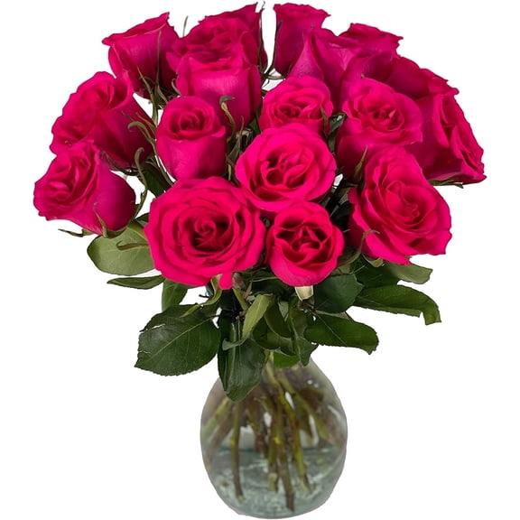 Arabella Bouquets Farm Direct Bouquet of 18 Fresh Cut Hot Pink Roses with Free Elegant Hand-Blown Vase