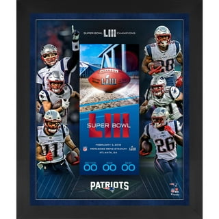 Best Buy: NFL: Super Bowl LIII Champions New England Patriots [Blu-ray]  [2019]