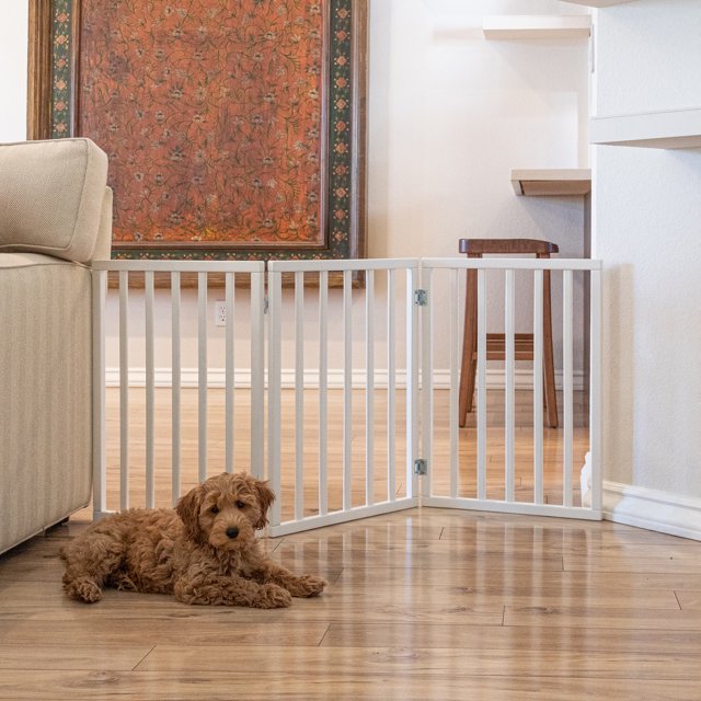 Primetime Petz Perfect Pup Gate, a white hardwood dog gate with three panels, spanning an opening in a living room. Lightweight and foldable, it is ideal for small to medium pets. A brown dog rests on the wooden floor near the gate.