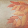 thumbnail image 3 of Kimberly, Allen 15x15 Black Modern Framed Museum Art Print Titled - Fall Colors 2, 3 of 5
