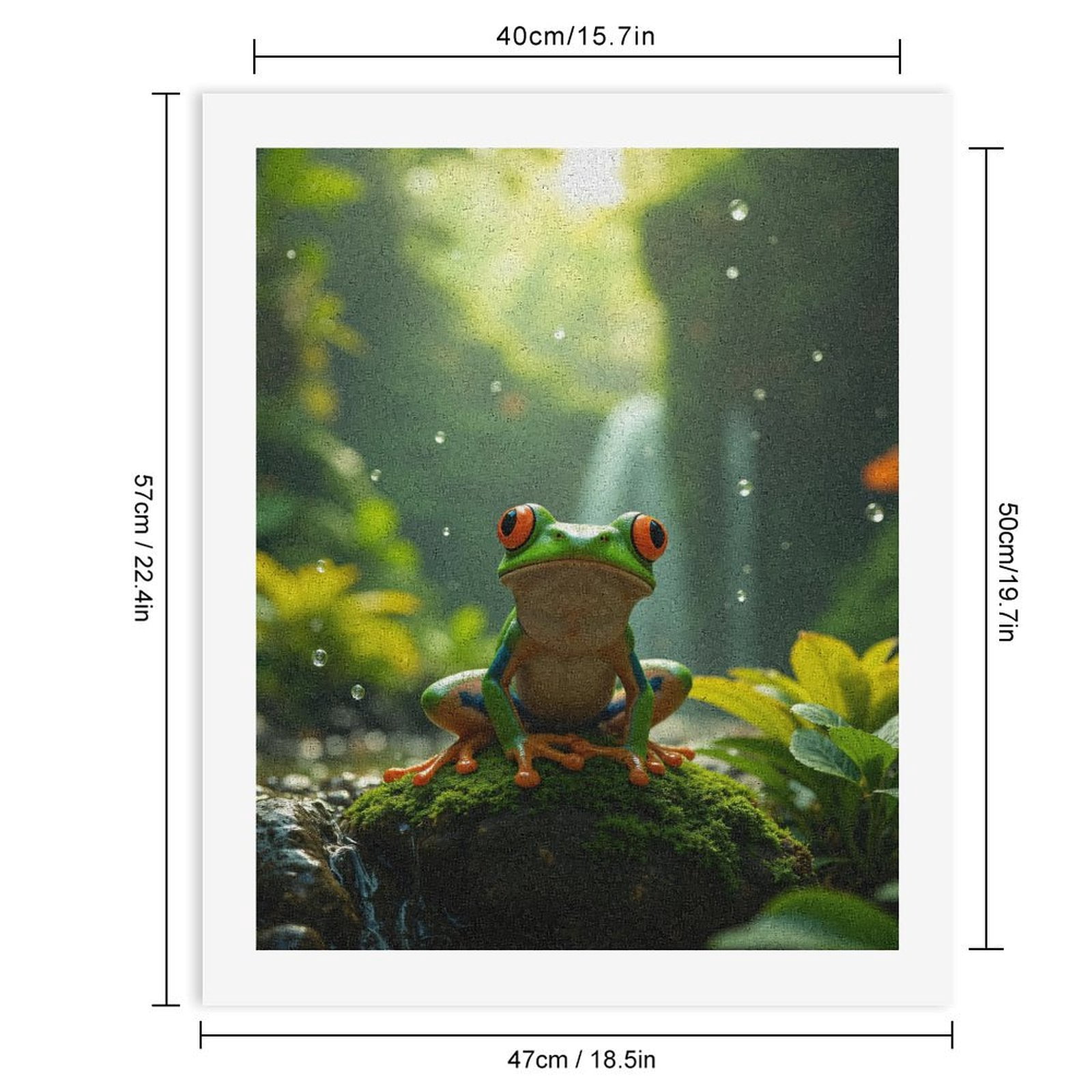 Paint by Numbers Kit for Adults, Jungle Frog On Mossy Rock Paint by Numbers, Easy Paint by Numbers Kit for Adults Beginner, DIY Adult Paint by Number Kits on Canvas, 12x16in Home Decor