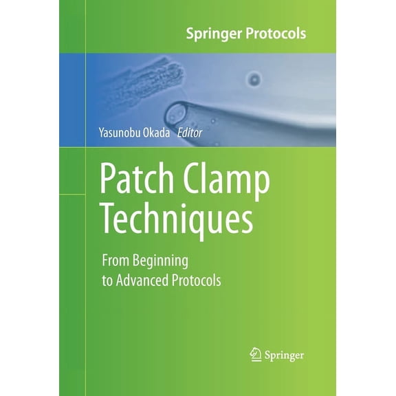 Springer Protocols Handbooks Patch Clamp Techniques: From Beginning to Advanced Protocols, (Paperback)