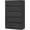 5drawers-Black, variant on Stackable 2-Drawer Dresser, Multi-Purpose Storage Closet Cube for Bedroom, Storage Cabinet for Entryway, Nightstand Sofa Beside Table Drawer Chest, 15.8 in, Oak