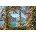 thumbnail image 2 of Ryan, Brooke T.  14x11 Black Ornate Wood Framed with Double Matting Museum Art Print Titled - Wisteria and Mountains – Lago di Como, 2 of 4