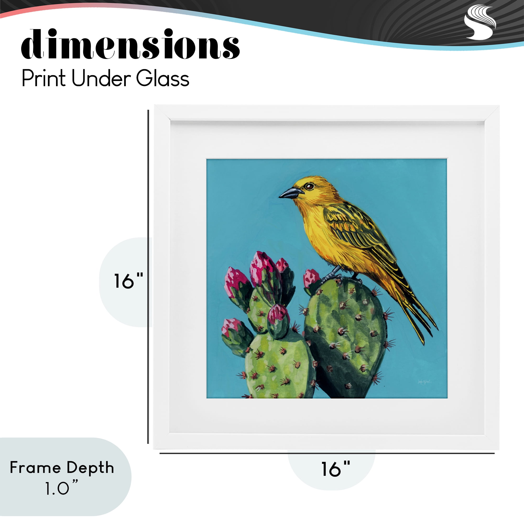 Stupell Industries Yellow Bird on Cacti Bloom White Framed Print Under Glass, design by Kate Jarvik Birch