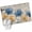 Blue, variant on Area Rugs 2.7'x5', Watercolor Flowers Carpet for Living Room Bedroom Dining Room, Vintage Tulips Floral Barn Doors Wood Grain Throw Kitchen Rugs Non Slip Washable Rectangle Indoor Outdoor Rugs