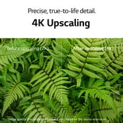 LG 55 Class 4K UHD 2160P Smart TV 55UN6955ZUF