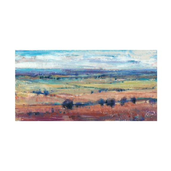 Tim O'Toole 'Temperate Terrain I' Canvas Art