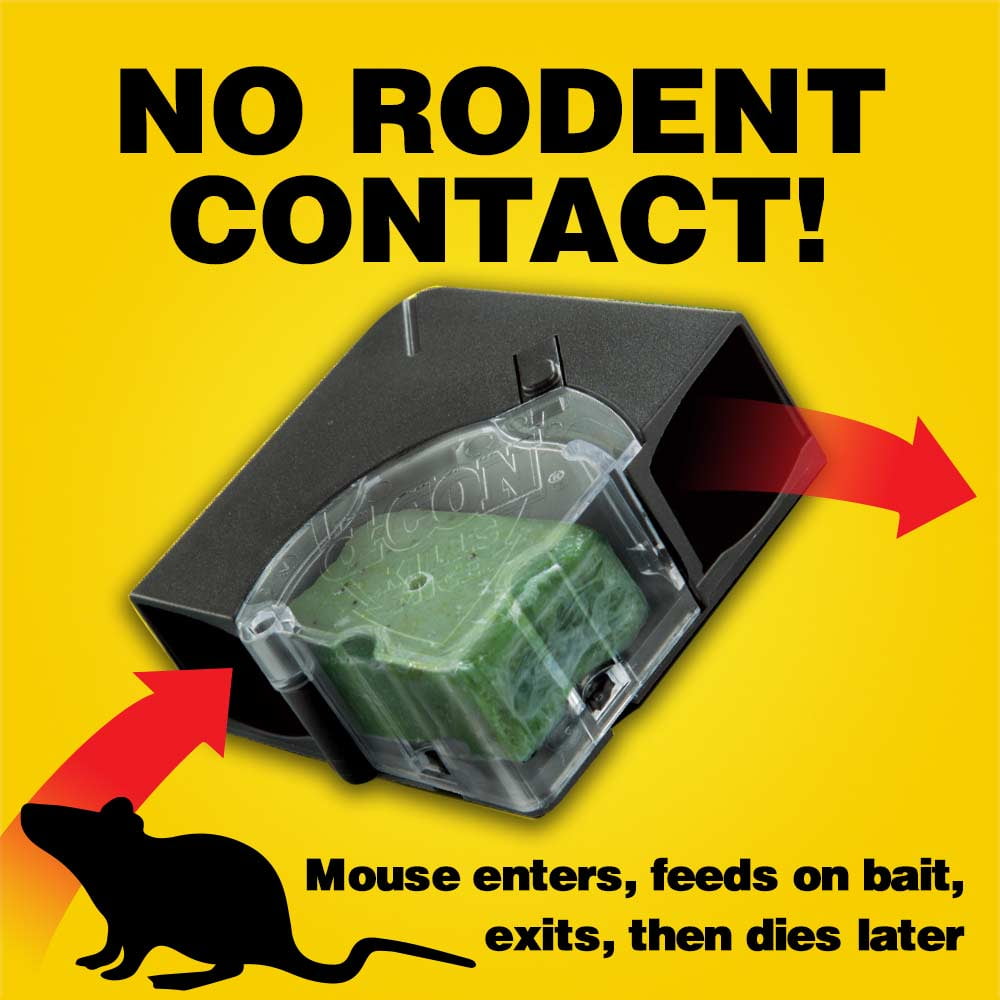 d-CON Disposable Mouse Bait Station (3-Pack) 19200-98342 - The Home Depot
