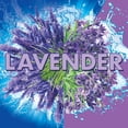 thumbnail image 3 of Limpiador de inodoros Soft Scrub, colgador con borde 4 en 1, color lavanda, 2, 3 of 8