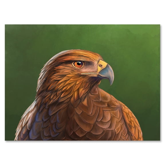 Designart ' Close UP Of Harris Hawk Bird ' Traditional Canvas Wall Art Print