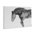 thumbnail image 3 of Stupell Industries Winter Stallion Gallop Canvas Wall Art design by Amy Carroll, 30 x 45, 3 of 7