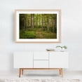 thumbnail image 5 of Trail in Burke - Burke Vermont Photography Forest Woods Nature Scenic Wilderness Woodland Rural Oak Framed Wall Art Print 24 x 36 inches, 5 of 6