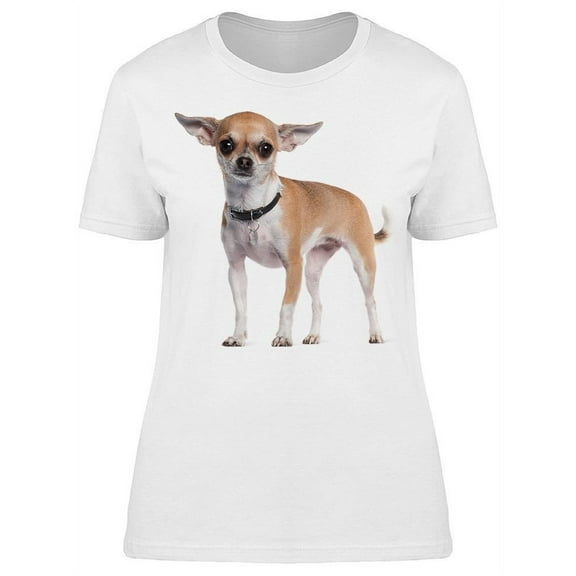 Chihuahua With A Collar, Stands T-Shirt Women -Image by Shutterstock, Female Small