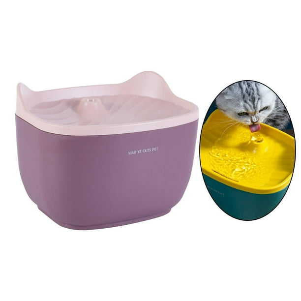 Kitten top water fountain