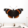 thumbnail image 1 of Butterfly Species Vanessa Atalanta Wall Mural by Wallmonkeys Peel and Stick Graphic (48 in W x 32 in H) WM98563, 1 of 4