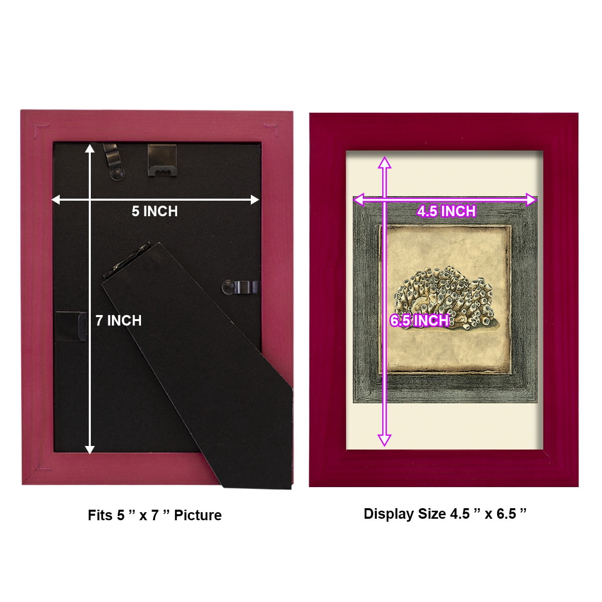 Mini Exotic Coral I (U) - Framed Print w/glass - Cherry Red